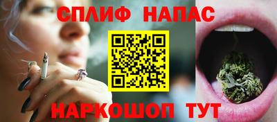 мдпв Гусев