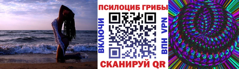 Псилоцибиновые грибы мухоморы где продают наркотики блэк спрут маркетплейс Малгобек