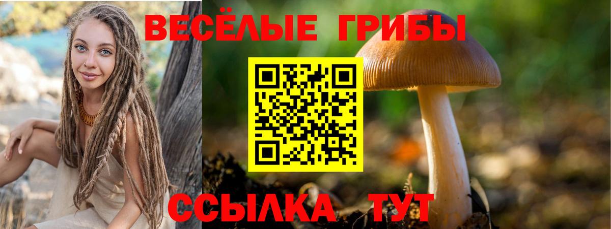 Псилоцибиновые грибы мицелий  Псилоцибиновые грибы Magic Shrooms  Вход с VPN  Малгобек 