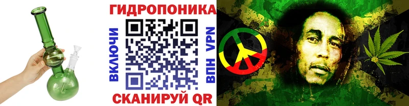 Бошки марихуана Bruce Banner  наркошоп  гидра маркетплейс  Малгобек 